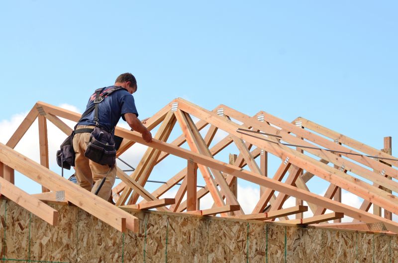 Roof Structure Framing